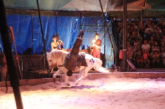 Cavale 26 * 5184 x 3456 * (9.14MB)